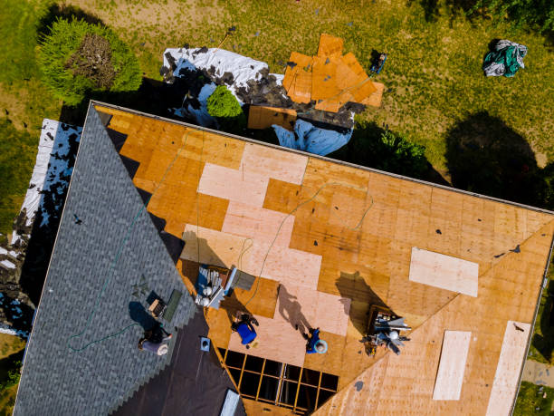 Roof Gutter Cleaning in Cave Spring, VA