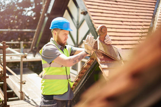Gutter Installation and Roofing in Cave Spring, VA